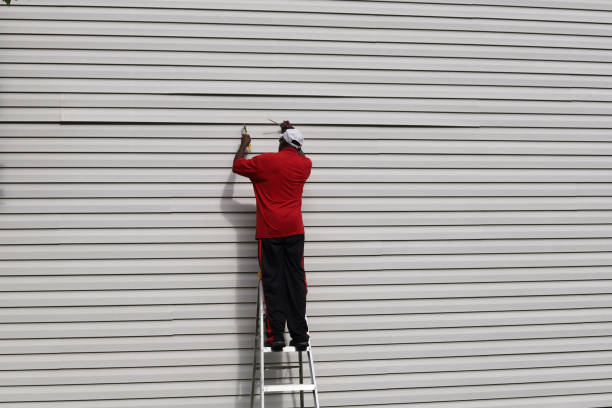 Best Siding Painting and Refinishing  in Milpitas, CA